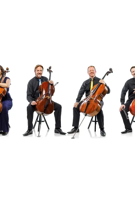 Sieben Musiker sitzen in einer Reihe, jeder mit einem Cello, alle tragen schwarze Kleidung, vor weißem Hintergrund.