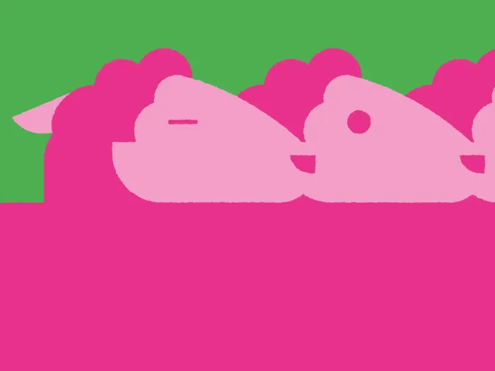 Drei stilisierte rosa Schafköpfe in einer Reihe auf grünem und pinkem Hintergrund.