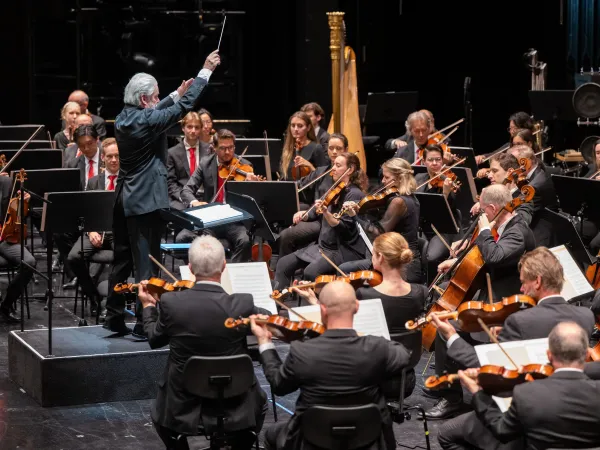 Dirigent Jukka-Pekka Saraste leitet ein Orchester mit Streichern, Holzbläsern und Harfe bei einem Konzert